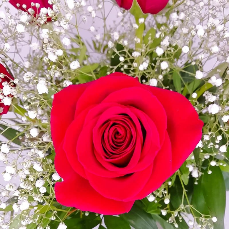 Ramo de 6 Rosas Rojas Amore