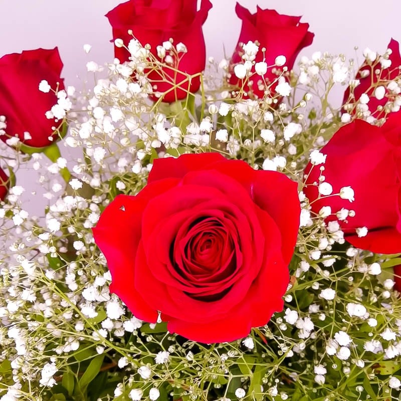Ramo de 24 Rosas Rojas Gran Amor